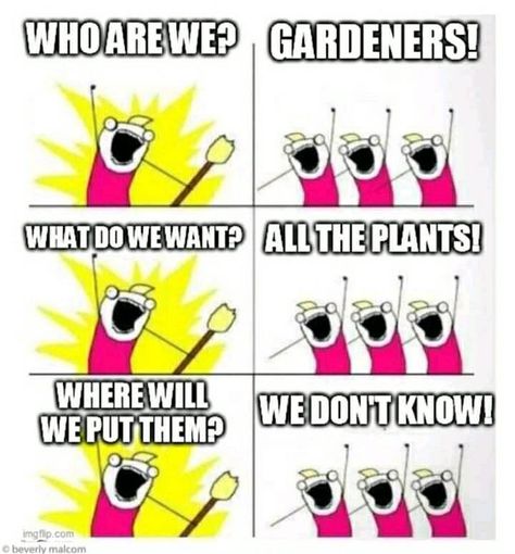 Lush & LOL-Worthy Plant Memes For Green Thumbs - Memebase - Funny Memes Plant Jokes, Gardening Memes, Gardening Humor, Plant Mom, Plant Lady, Plant Life, Bones Funny, Brighten Your Day, Snakes