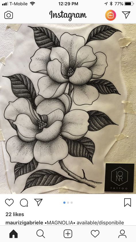 Magnolia blooms Magnolia Tattoo Shoulder For Women, Magnolia Tattoo Ribs, Magnolia Tattoo Traditional, American Traditional Magnolia Tattoo, Magnolia Shoulder Tattoo, Traditional Magnolia Tattoo, Magnolia Tattoo Sleeve, Magnolia Tattoo Design, Magnolia Sketch