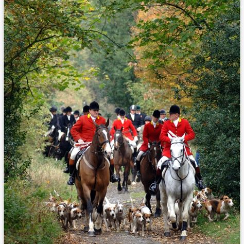 The hunt English Country Manor, Hunt Scene, Art Skills, Fox Hunting, Horses And Dogs, Equestrian Life, Beautiful Sights, English Countryside, Equestrian Style