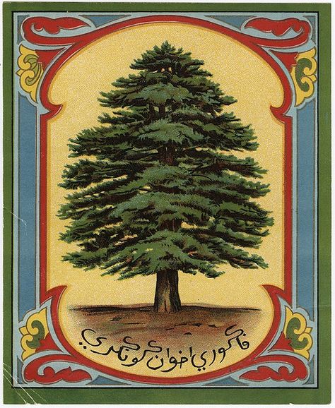 british fabric crate label Lebanon Tree, Lebanon Cedar, Cedar Of Lebanon, Tree Branch Tattoo, Pine Tree Drawing, Fruit Crate Label, Arabic Script, Fruit Crate, Crate Label