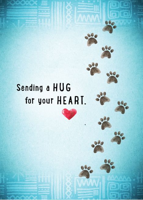 Loss Of Dog Sympathy, Dog Condolences Loss Of Pet, Loss Of Pet Dog Sympathy Cards, Pet Loss Sympathy Messages, Loss Of A Dog Sympathy, Sorry For Your Loss Dog, Cat Sympathy Cards, Loss Anniversary, Loss Of Pet Cat