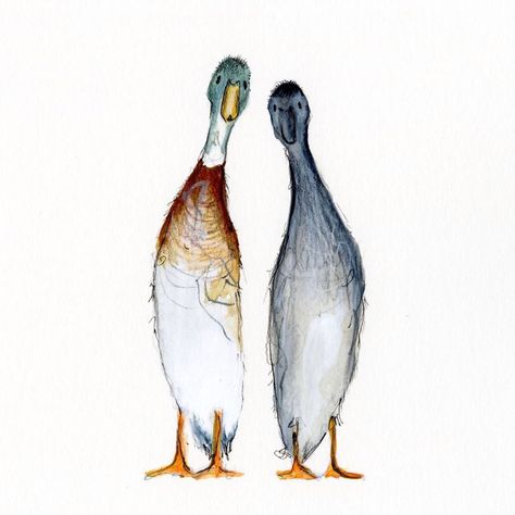 Runner Ducks Drawing, Runner Duck Painting, Indian Runner Duck Drawing, Runner Duck Illustration, Runner Duck Tattoo, Runner Duck Drawing, Duck Painting Easy, Watercolor Ducks, Indian Runner Ducks