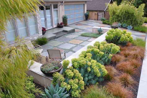 'Falling Cliff' residence in Shell Beach, California designed by JGS Landscape Architecture. Photo: Tom Hessel Succulent Border, Garden Grasses, Small Yard Design, Front Yard Landscape, Backyard Ideas For Small Yards, Small Yard Landscaping, Succulent Landscape Design, No Grass Backyard, Succulent Gardens