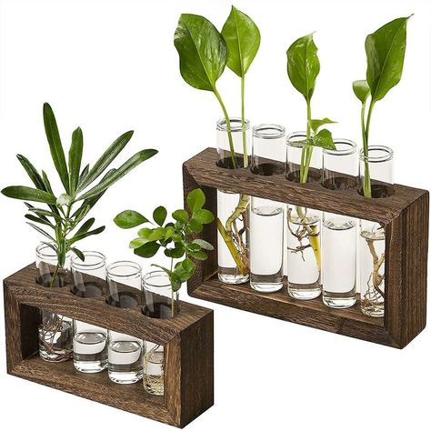 Mobilier d'intérieur > Décoration > Objets de décoration > Vase ER-SIICE, Cadre en bois robuste - le cadre du récipient en verre pour plantes est en bois naturel, durable et stable, tout en soulignant la beauté de la nature et de la simplicité. Verre de haute qualité - Le vase à tube à essai est équipé de 9 verres détachables, qui sont faits de verres de haute qualité, lisses, transparents et de belle forme. La conception claire de la jardinière pour tubes à essai vous permet d'afficher et d'obs Hanging Glass Planters, Test Tube Vase, Propagation Station, Bulb Vase, Terrarium Containers, Hydroponic Plants, Test Tubes, Wood Plant Stand, Glass Planter