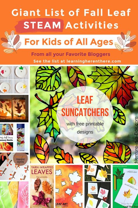 Giant List Fall Leaf STEAM Activities for kids of all ages Fall Leaf Activities, Activities For Older Kids, Fall Leaves Activities, Leaf Activities, Steam Activities For Kids, Steam Activity, Steam Ideas, Autumn Leaves Art, Fall Preschool Activities