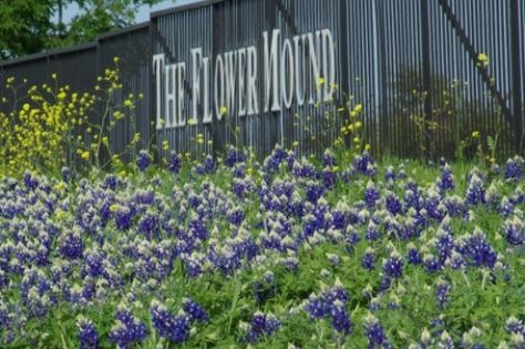 Introduction to Flower Mound, Texas  http://mentalitch.com/introduction-to-flower-mound-texas/ Trail Hiking, Flower Mound, Texas Homes, Texas Travel, North Texas, Dallas Fort Worth, Mid Size, Places Around The World, Vacation Destinations