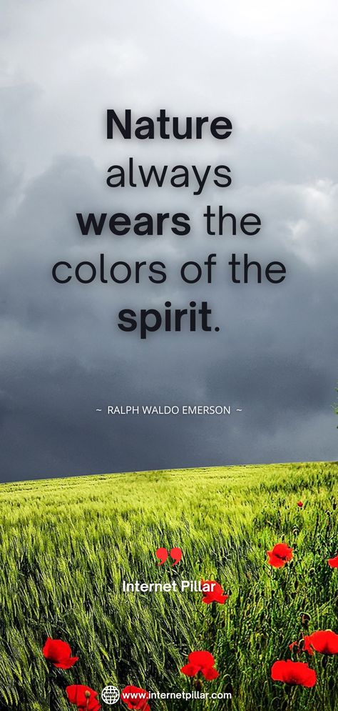 Nature always wears the colors of the spirit ~ Ralph Waldo Emerson - 35 Colors of Nature Quotes to Appreciate Beauty  - #quotes #inspirationalquotes #motivationalquotes #sayings #quote #internetpillar #bestquotes #inspirationquotes #motivation #inspiration #famousquotes #captions #lifequotes #wisequotes #dailyquotes #wordsofwisdom #lifequotes #quotesbygenres #positivequotes Jj Quotes, Love Nature Quotes, Creation Quotes, Mine Quotes, Nature Quotes Inspirational, Nature Photography Quotes, Nature Quote, Magical Quotes, Save Nature