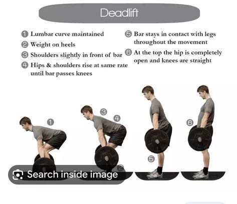 Muscular Strength Exercises, How To Get Muscles, Deadlift Form, Barbell Deadlift, Workout Program Gym, Build Muscle Fast, Gym Workout Chart, All Body Workout, Gym Workouts For Men