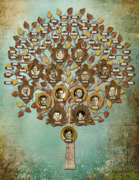 Family Tree - Multi Generation Tree with 15 Photos and 48 Labels with Blue Background Genealogy Crafts, Family Tree Wall Art, Family Tree Designs, Family Tree Research, Family Tree Art, Family Tree Project, Genealogy Chart, Family Tree Genealogy, Family Tree Wall