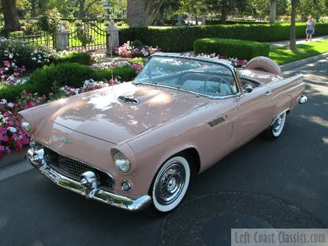 Old Fashion Cars, Thunderbird Car, 1956 Ford Thunderbird, Ford Thunderbird Convertible, Thunderbird Convertible, Old Fashioned Cars, Studebaker Trucks, Old American Cars, Ford Classic Cars