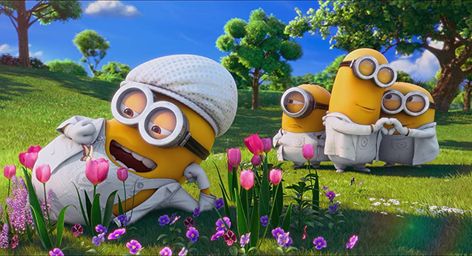 Minion Background, Minions 2, Hd Wallpapers For Laptop, Minion Banana, Minion Movie, The Minions, Cute Minions, Minions Wallpaper, Laptop Wallpaper Desktop Wallpapers