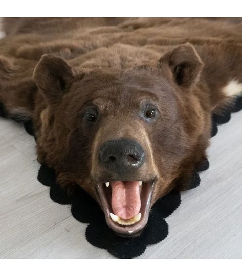 Black Bear Skin Rugs : Bear Skin Rug Sale at Bear Skin World Bear Skin Rug, Animal Skin Rug, Calamity Jane, Skin Rugs, Bear Rug, We Bear, Garage Design, Animal Skin, Black Bear