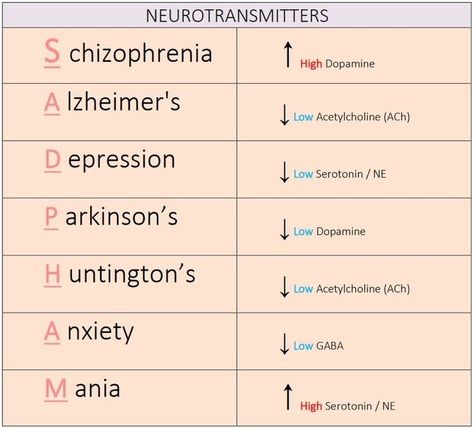 Neurotransmitters Notes, Abnormal Psych Notes, How To Take Psychology Notes, Biological Psychology Notes, Psych Nursing Notes, Neuroscience Books To Read, Eppp Study Guide, Neurotransmitters And Mental Health, Neuropsychology Student