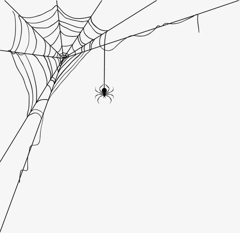 Spider Web Border, Hanging Spider Drawing, Designs Drawing Pattern, Draw Decoration, Spider Web Png, Spider On Web, Spider Web Drawing, Spider Clipart, Spider Web Pattern