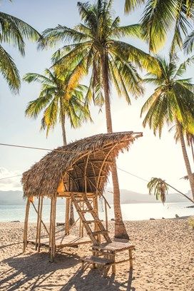 Coron island- Phillipines Birds Beak, Best Islands To Visit, Philippines Palawan, Islands To Visit, Bamboo House Design, Tiny Island, Bamboo Structure, Bamboo Architecture, Beach Lounge