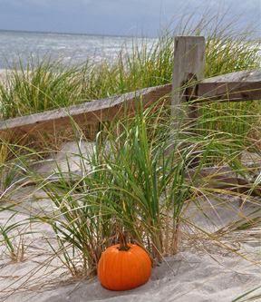 Autumn at the Beach Autumn Beach, Coastal Fall, Fall Beach, Autumn Decorating, I Love The Beach, Beach Living, Cape May, Autumn Season, Beach Time