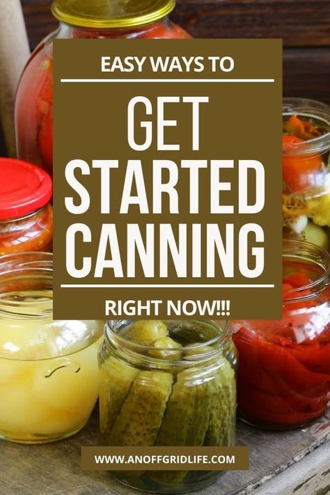 Food For Winter, Canning For Beginners, Water Bath Canning Recipes, Canning And Preserving, Can Food, Canning Pickles, Fermentation Crock, Easy Starters, Vegetable Harvest