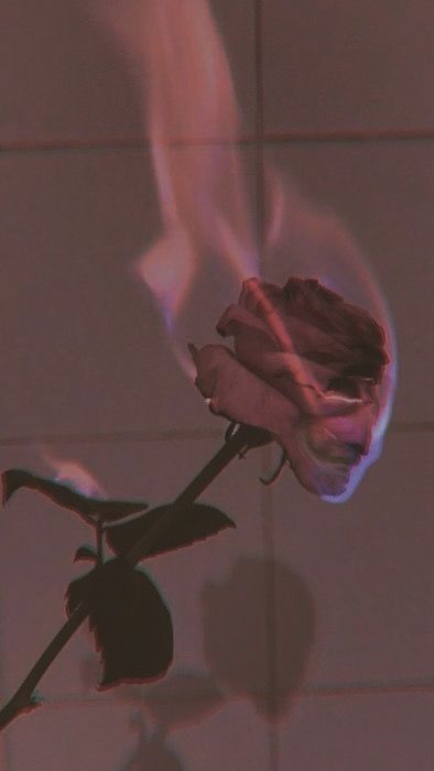 Rose Asethetic Pic, Fire Rose Aesthetic, Wilting Rose Aesthetic, Breakup Astetic Wallpaper, Burning Rose Wallpaper, Rose On Fire Wallpaper, Aesthetic Break Up Pictures, White Rose On Fire, Rose On Fire Aesthetic