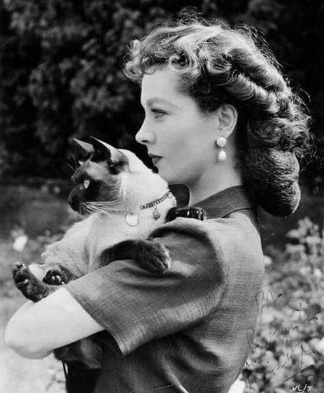 Vivien Leigh Aesthetic, Vivian Leigh, A Streetcar Named Desire, Scarlett O'hara, Gossip Girls, International Cat Day, Gene Kelly, Vivien Leigh, Gemma Arterton