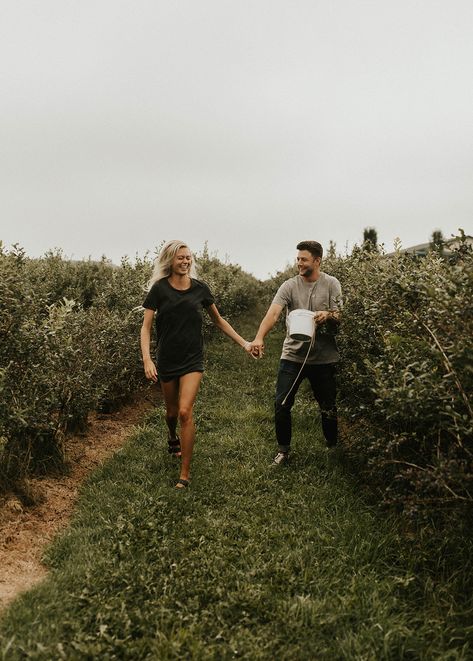 Blueberry fields shoot Blueberry Farm Photography, Blueberry Field Photoshoot, Blueberry Photoshoot, Farm Family Pictures, Blueberry Picking, Blueberry Farm, Berry Picking, Ladies Room, Farm Photography