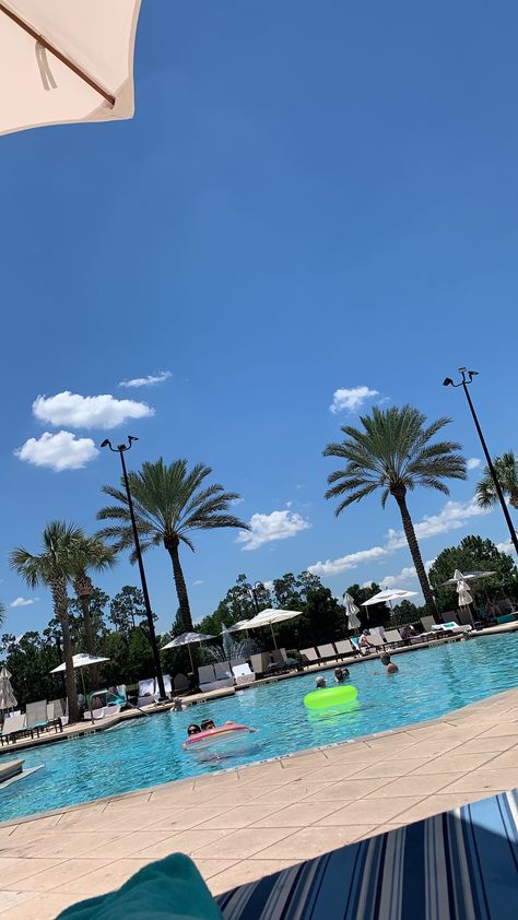 beach palm trees disney world pool swimming aesthetic vacation florida orlando Swimming Aesthetic, Orlando Florida Vacation, Beach In Florida, Orlando Beach, Vacation Florida, Aesthetic Vacation, Florida Orlando, Pool Swimming, Vacation House