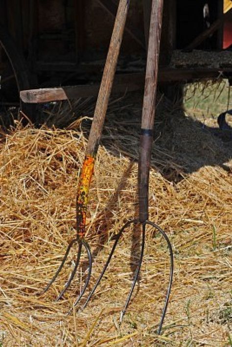 Pitch Forks Hay Bail, Pitch Fork, Pitch Forks, Adams Family, Old Barns, Country Charm, Country Girl, Country Living, Country Life