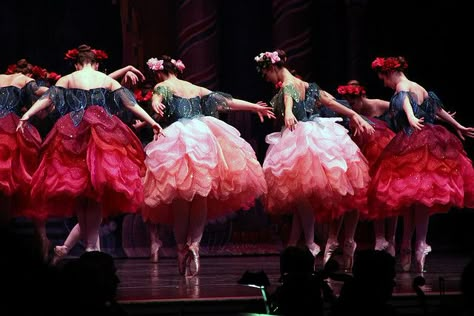 Waltz of the Flowers from The Nutcracker, Maine State Ballet. Photo by klickthis on Flickr. Costume Fleur, Sugar Plum Princess, Waltz Of The Flowers, Nutcracker Costumes, Ballet Stuff, Dancing Through Life, The Nutcracker Ballet, Ballet Aesthetic, Ballet Tutus