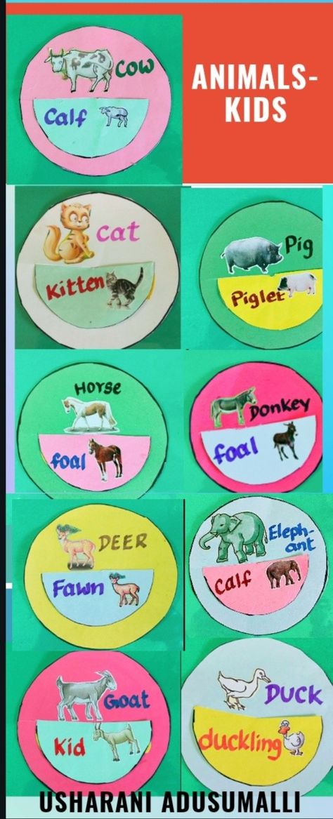 Animals And Their Babies, Activity Based Learning, Goat Kidding, Science Toys, Infant Activities, Writing Skills, Baby Animals, Kittens, Science