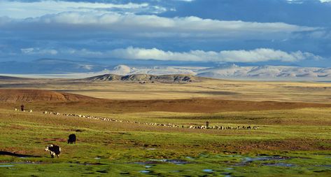 Tibetan Plateau Pictures, Atmospheric Circulation, Tibetan Plateau, Himalayas Mountain, Valley Landscape, Archaeology News, Alpine Meadow, Photo Report, Sea Level