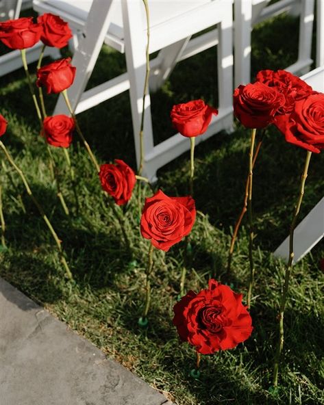 Happy Valentine’s Day❤️ The radiant red roses make a ceremony so impressive! Let the deep, rich hues of the red roses create a romantic and magical atmosphere, leaving a lasting impression on our guests. 🌹 #redroses #weddingflowers #overthemoon #brideandblossom #stylemepretty #nycwedding #nyweddingvenue #nycweddingplanner #luxurywedding #roses #weddingtheme #redweddingtheme #flowers #rosepetals #alinatoevents Red Roses Wedding Theme, Red Flowers Wedding, Adelaide Wedding, Nyc Luxury, Ny Wedding Venues, Red Wedding Theme, Red Rose Wedding, Red Wedding Flowers, Radiant Red