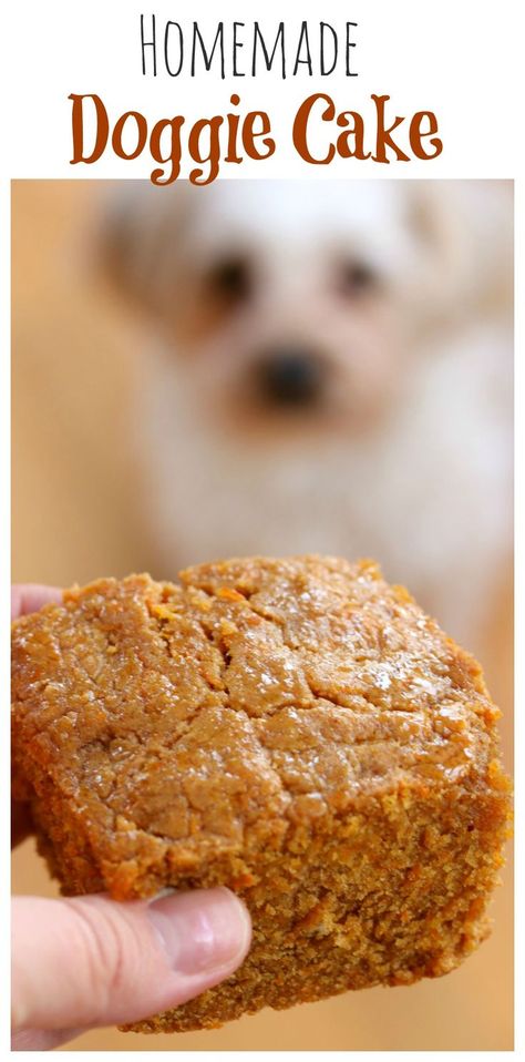 Doggie Cake, Dog Cake Recipe, Dog Birthday Cake Recipe, Dog Cake Recipes, Cake Dog, Dog Biscuit Recipes, Butter Honey, Dog Treats Homemade Recipes, Dog Birthday Cake