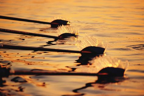 The Boys In The Boat, 1936 Olympics, Boat Aesthetic, Bookworm Things, Boys In The Boat, Rowing Team, Book Vibes, Life Wallpaper, Whatever Is True