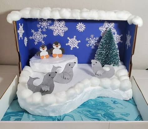 Seal Habitat Project, Artic Habitat Project, Penguin Diarama For Kids, Penguin Habitat Project, Penguin Projects For Kids, Arctic Habitat Diorama, Polar Habitat Project, Penguin Habitat Shoebox Project, Artic Diorama For Kids