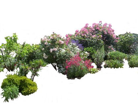 Photoshop Landscape, Plant Png, Photoshop Resources, Png Aesthetic, Traditional Artwork, Planting Vegetables, Garden Trees, Flower Images, Flower Field