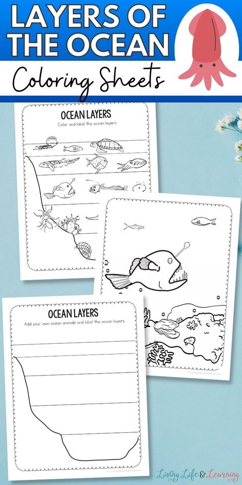 Discover the amazing depths and mysteries hidden beneath the waves as your little ones unleash their creativity and learn about the different layers of the ocean - all while having a blast coloring with these Layers of the Ocean Coloring Sheets! Add these to your homeschool ocean activities now! Ocean Zones Activities, Ocean Layers Craft, Layers Of The Ocean Craft, Ocean Zones Printable, Layers Of The Ocean Printable, Ocean Zones Preschool, Ocean Layers Activity, Aquarium Scavenger Hunt Printable Free, Ocean Worksheets Kindergarten