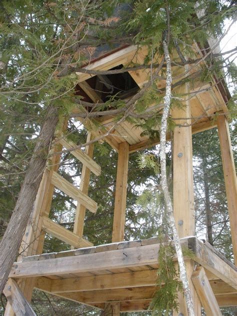 Home Deer Stands - Yahoo Image Search Results Deer Hunting Stands, Hunting Shack, Deer Stand Plans, Shooting House, Hunting Stands, Deer Blind, Hunting Diy, Deer Hunting Tips, Quail Hunting