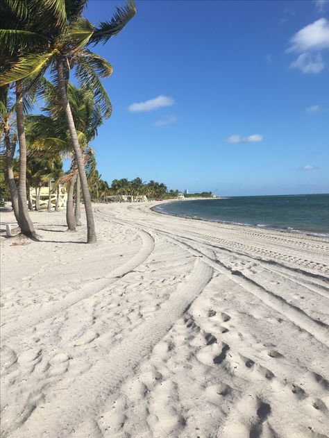 Crandon Park at Miami, FL Crandon Park Beach Miami, Crandon Park, Summer View, Miami Travel, City Wallpaper, Miami Fl, Travel Aesthetic, Miami Beach, Aesthetic Pictures