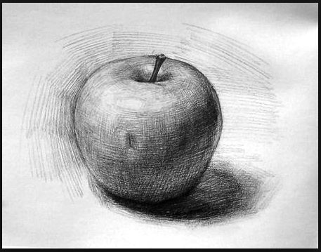 Easy Pencil Drawings, Drawing Apple, Sketch Videos, Apple Art, Pencil Shading, Object Drawing, Pencil Drawings Easy, Drawing Faces, Basic Drawing