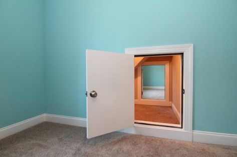 Secret door ideas