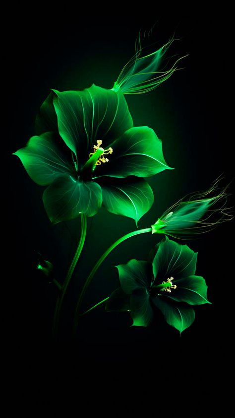 Green Flowers iPhone Wallpaper 4K - iPhone Wallpapers Flowers Iphone Wallpaper, Iphone Wallpaper 4k, Eyeless Jack, Beautiful Flowers Images, Iphone Wallpaper Hd Nature, Floral Wallpaper Phone, Lovely Flowers Wallpaper, Android Wallpaper Flowers, Flower Iphone Wallpaper