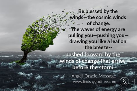 change winds quote – Lindsay Godfree Winds Of Change Quotes, Oracle Messages, Wind Quote, Wind Of Change, World View, Change Quotes, Guest Posting, Law Of Attraction, Spirituality