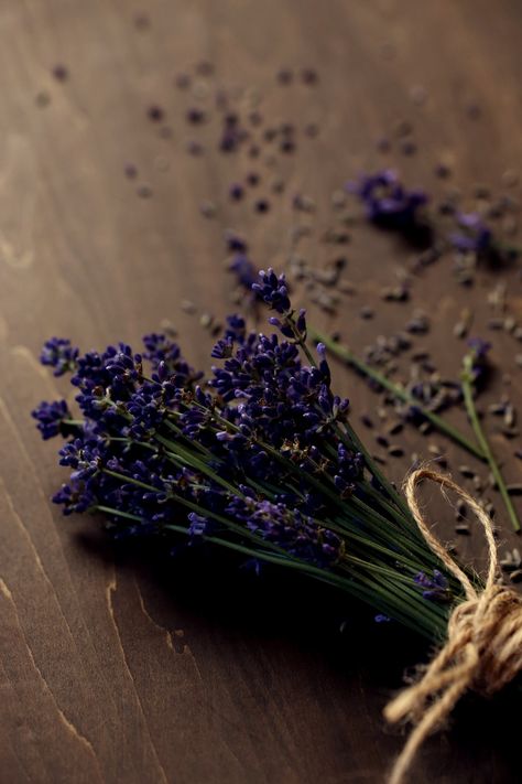 https://flic.kr/p/taSZFp | 033 | lavender Lavender Herb, Essential Oils Herbs, Lavender Aesthetic, Lavender Nails, Lavender Plant, Lovely Lavender, Dried Lavender, Lavender Flowers, Flower Images