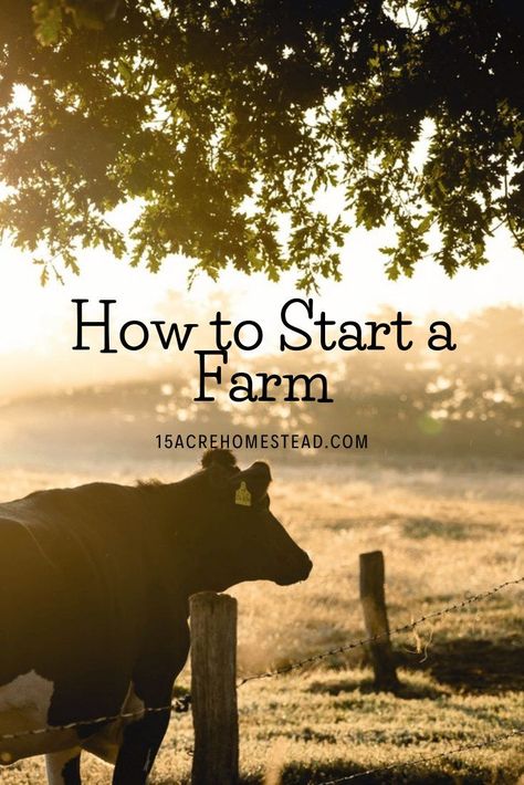 How To Start A Cattle Ranch, Start A Farm, Homestead Layout, Starting A Farm, Homesteading Animals, Micro Farm, Raising Farm Animals, Acre Homestead, Homesteading Diy