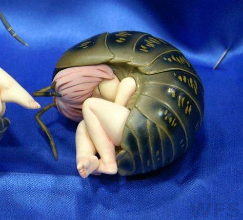 Kaguya Hime, Pill Bug, Original Character, Bugs, On Twitter, Twitter, Bugs And Insects, Figurine