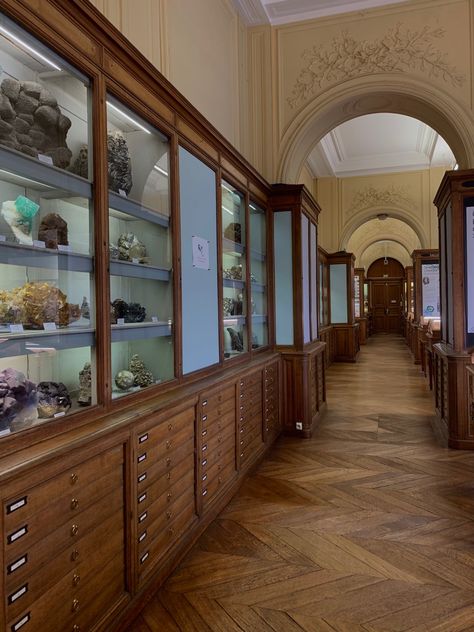 Long hallway with wooden floors, lined with wooden shelves filled with rocks and minerals in glass cases Museum Conservator Aesthetic, Home Museum Display, Museum Archivist Aesthetic, Researching Aesthetic, Green Museum Aesthetic, Natural History Museum Aesthetic, Archeology Aesthetic Room, Vintage Museum Aesthetic, Science Museum Aesthetic