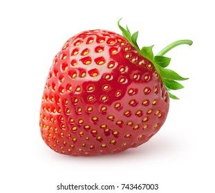 Isolated Strawberry Single Strawberry Fruit Isolated Stock Photo (Edit Now) 743467003 Fruits Photos, Fruit Picture, Colored Pencil Artwork, Fruits Images, Fruit Photography, Strawberry Fruit, Art Hobbies, Fruit Art, Graphics Inspiration