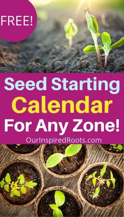 Greenhouse Seed Starting, Seed Starting Calendar, Seed Starting Indoors, Starting Vegetable Seeds, When To Plant Seeds, Planting Seeds Indoors, Gemüseanbau In Kübeln, Planting Garden, Vegetables Garden