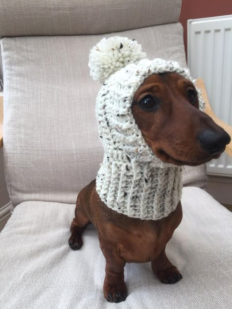 Crochet Dog Jumper, Crochet Sausage Dog, Sausage Dog Puppy, Crochet Dogs, Crochet Dog Clothes, Dogs Toys, Dachshund Clothes, Dachshund Pattern, Dachshund Puppy Miniature