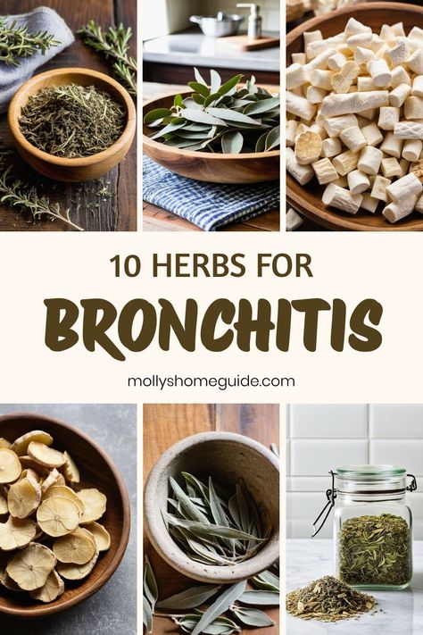 Home Remedy Recipes, Cleaning Lungs Naturally, Holistic Remedies For Bronchitis, How To Treat Bronchitis At Home, Herbs For Lungs Respiratory System, Herbs For Respiratory Infection, Herbs For Bronchitis, Herbs For Congestion, Herbs For Respiratory Health