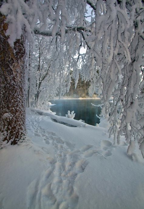 Hidden Ice Matka Natura, I Love Snow, Snow Pictures, Winter Szenen, Belle Nature, I Love Winter, God Jul, Winter Photos, Winter Love